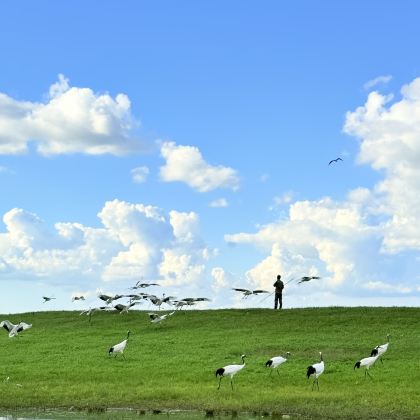 哈尔滨+齐齐哈尔+五大连池市5日4晚私家团