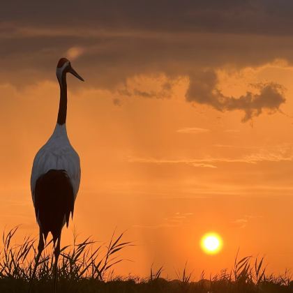 哈尔滨+齐齐哈尔+五大连池市5日4晚私家团
