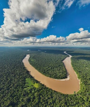 3D2N • Tambopata. Sandoval lake and parrot clay lick, 3 days 2 nights