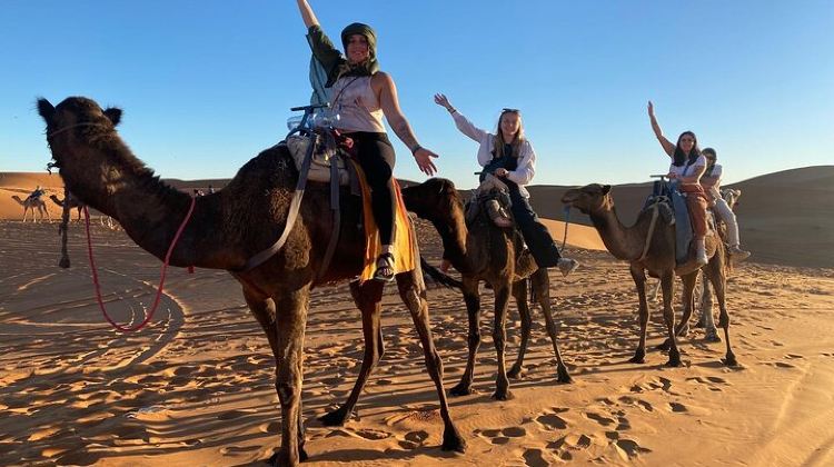 3D2N · Group Tours · LET'S GO Tour MARRAKECH to DESERT TO FES 3 Days