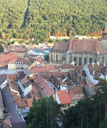 2D1N • Private 2-Day Transylvania Tour from Bucharest: Bears & Castles