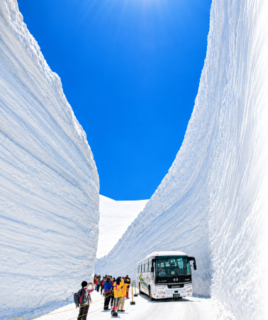 2D1N • Nagoya + Takayama City + Tateyama + Tateyama Kurobe Alpine Route + Hidakochi + Shirakawa-go