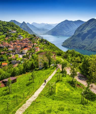 16D15N • German-Austrian Ties