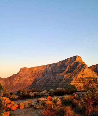 2D1N • Cape Town: 2-Day Private Tour with Airport Transfer
