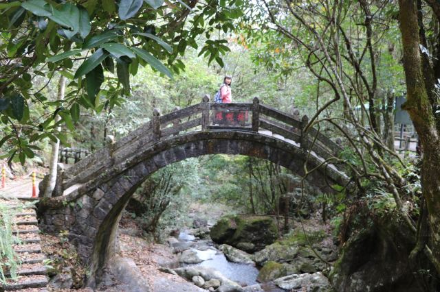 浙江乌岩岭国家级自然保护区旅行图片 3
