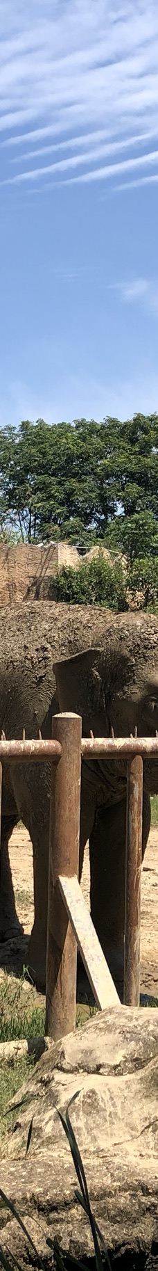 南昌动物园-南昌