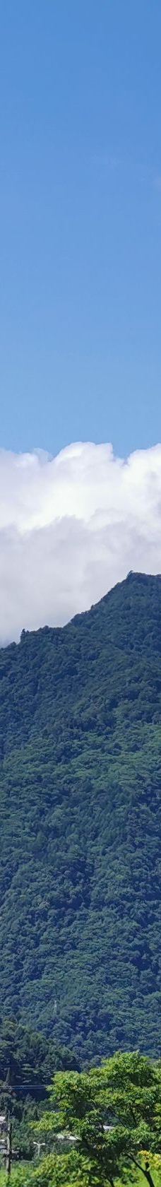 卧龙中华大熊猫苑神树坪基地-汶川