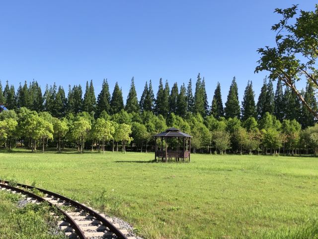 上海崇明荷花博览园旅行图片 3