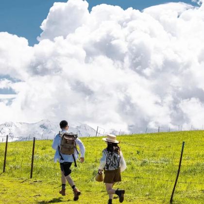 新疆北疆+伊犁+夏塔旅游区+喀拉峻景区+琼库什台+赛里木湖6日5晚跟团游