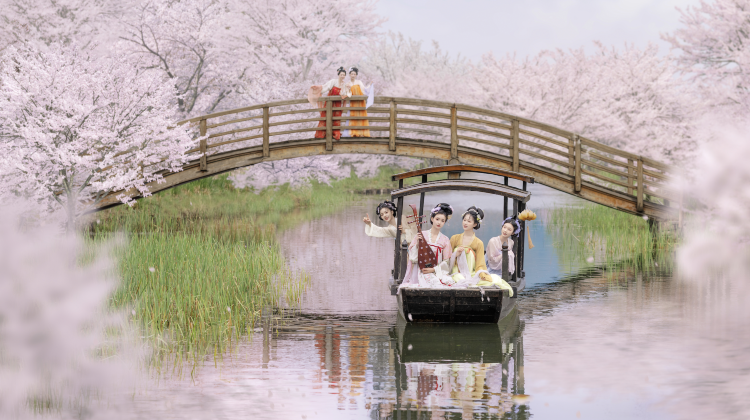 华东私家团深度评测：揭秘2-8人定制游服务商真实力