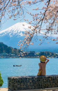 日本东京+富士山6日5晚拼小团图片
