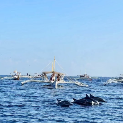 菲律宾薄荷岛7日5晚跟团游