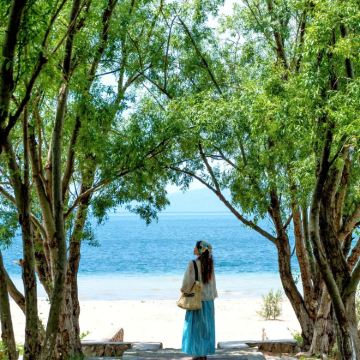 云南昆明+普洱+西双版纳6日5晚跟团游