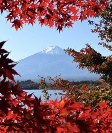 5日4晚 • 日本大阪＋京都＋奈良市＋東京＋富士山5日4晚跟團遊