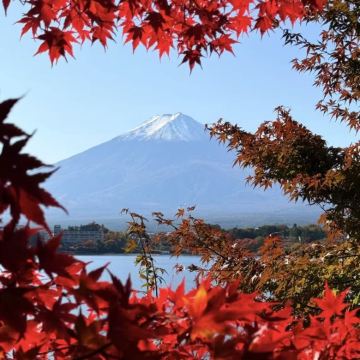 日本东京+富士山6日5晚拼小团