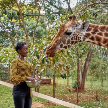 肯尼亚内罗毕+安博塞利国家公园+奈瓦沙5日4晚私家团