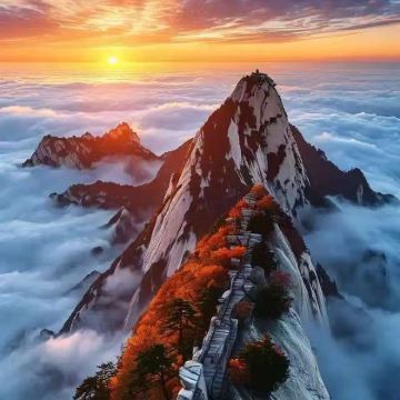 西安兵马俑+华清宫+华山+大唐不夜城+钟鼓楼广场4日3晚跟团游