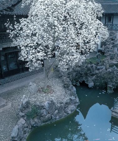 2日1晚 • 江蘇揚州2日1晚私家團