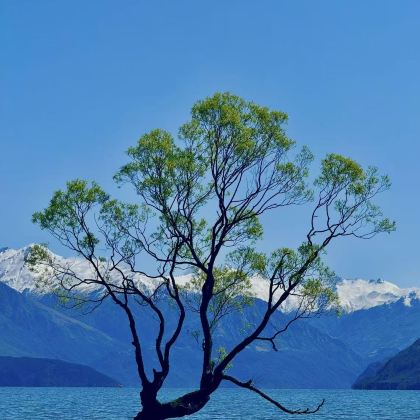 新西兰+瓦纳卡湖+瓦卡蒂普湖+米尔福德峡湾+TSS厄恩斯劳号蒸汽船5日4晚私家团