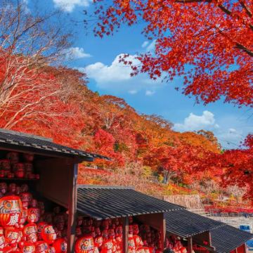 韩国+济州岛7日6晚私家团