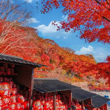 韩国+济州岛7日6晚私家团