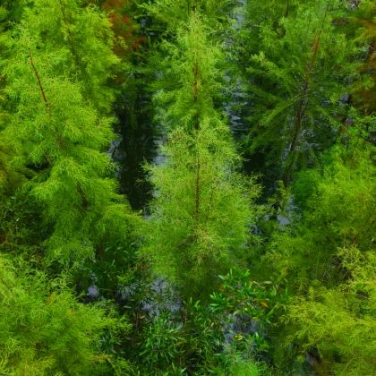 金钟水库+崖口村+中山詹园2日1晚私家团