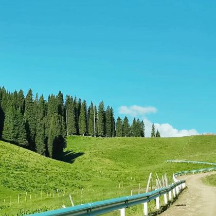 新疆北疆+伊犁+那拉提旅游风景区+赛里木湖3日2晚拼小团