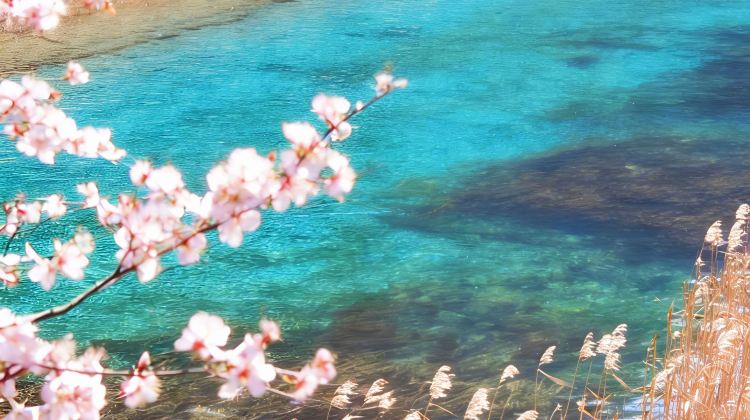 3-day 2-night · Private Tour · Jiuzhaigou + Huanglong Scenic and Historic Interest Area + Sanxingdui Museum