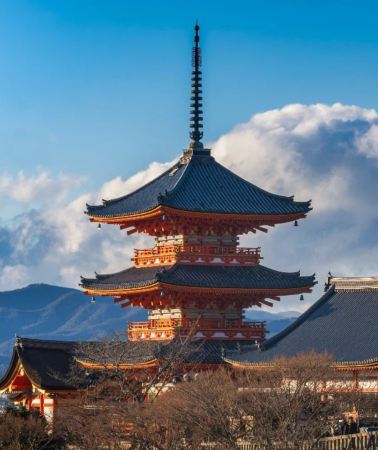 6日5晚 • 日本｜东京北海道双城精选之旅｜东京古都风情 - 小樽运河夜景 - 登别温泉 - 青池秘境 - 北海道花田