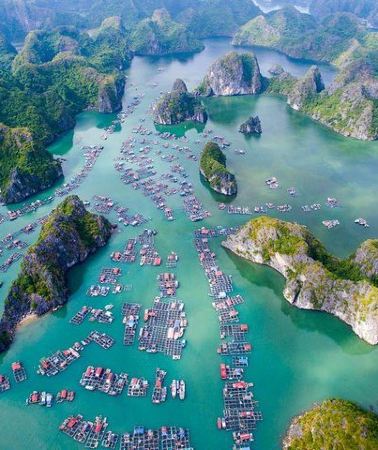 3D2N • 3-Day Ha Long Bay - Lan Ha Bay - Cat Ba Island Tour with Cruise and Kayaking