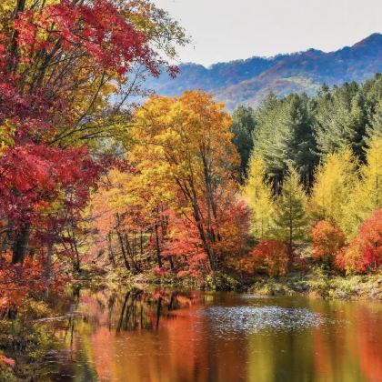 沈阳+本溪3日2晚跟团游