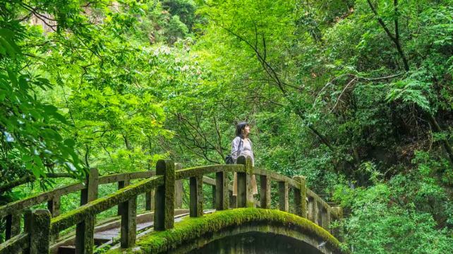 神农架、宜昌+10