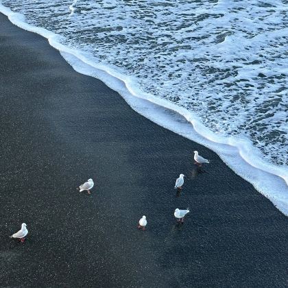 新西兰南岛+基督城+奥玛鲁+达尼丁+皇后镇6日5晚私家团