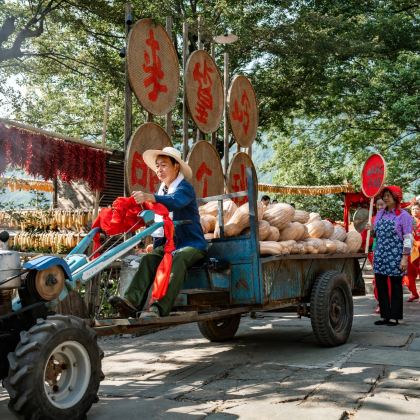 江西望仙谷+三清山风景区+婺源4日3晚私家团