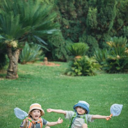 张家界国家森林公园+天门山+芙蓉镇+黄石寨5日4晚私家团