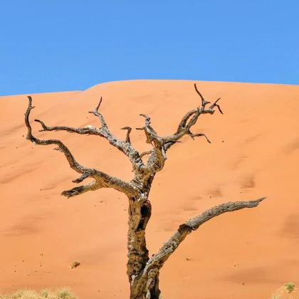 纳米比亚+津巴布韦+赞比亚+博茨瓦纳12日9晚跟团游