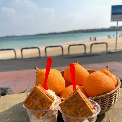 韩国济州岛4日3晚私家团