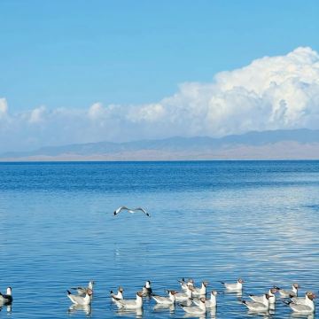 青海西宁+青海湖景区+鸣沙山月牙泉+敦煌+张掖七彩丹霞旅游景区+嘉峪关关城8日7晚私家团