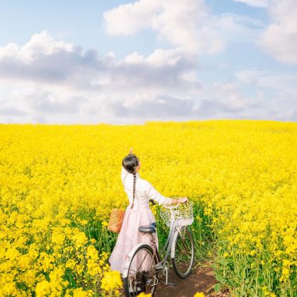 韩国济州岛5日4晚自由行