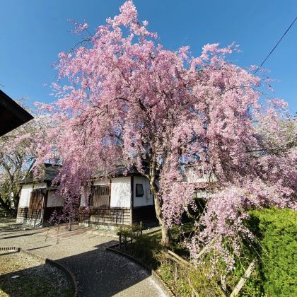 日本福冈+熊本市+阿苏市+由布院温泉+别府4日3晚私家团