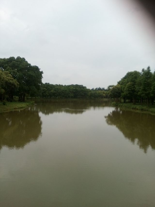 上海滨海森林公园旅行图片 3