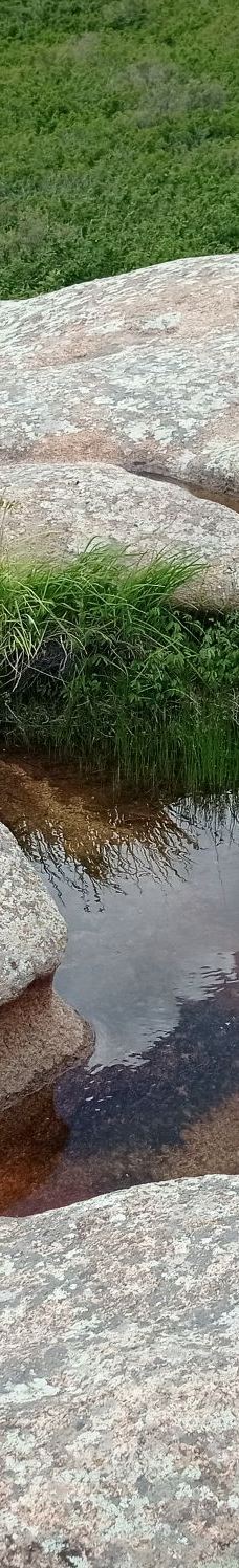 青山景区(克什克腾世界地质公园青山园区)-克什克腾旗