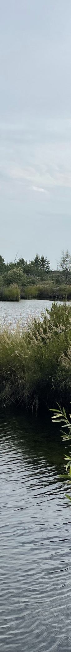 温泊景区-五大连池