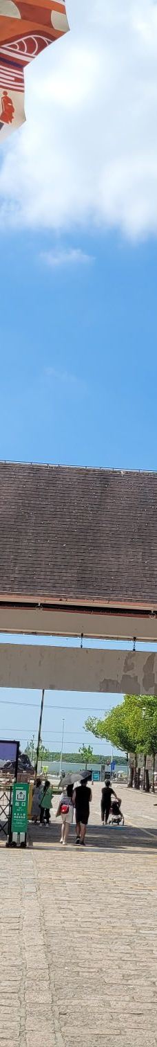 上海野生动物园-上海