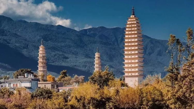 7-Day Yunnan Private Tour from Kunming· Dali, Lijiang, Shangri-La, Dianchi Lake, Tiger Leaping Gorge, Yulong Snow Mountain | Stone Forest Scenic Area