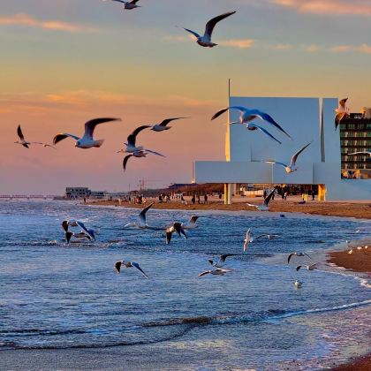 秦皇岛+北戴河+山海关+阿那亚·秦皇岛3日2晚私家团