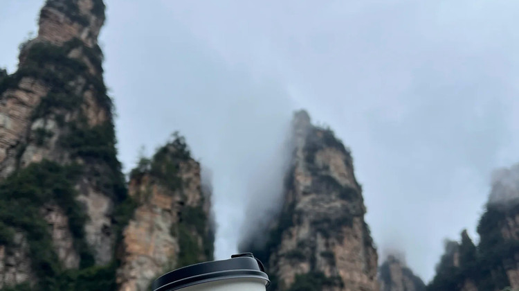 张家界+武陵源2日1晚跟团游·8人小团不爬山看风景 双5A核心景区·世界自然遗产·森林公园3大绝景·赠送百龙天梯+航拍VOLO『天子山+袁家界+十里画廊』+天门山玻璃栈道 24H管家 50元高餐标