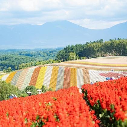 日本北海道登别+函馆+洞爷湖町+札幌7日6晚私家团
