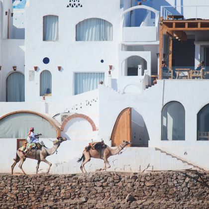 埃及开罗8日7晚私家团