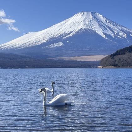 日本大阪+东京7日6晚私家团